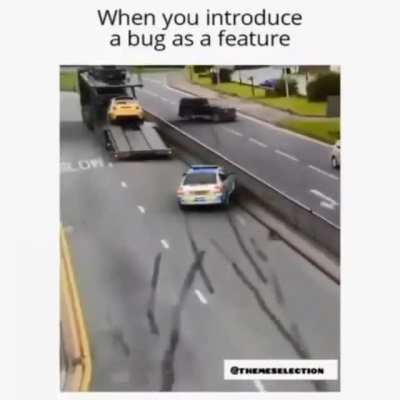 When developer introduce a bug as a 