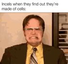Checkmate incels