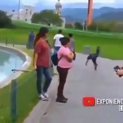 a
