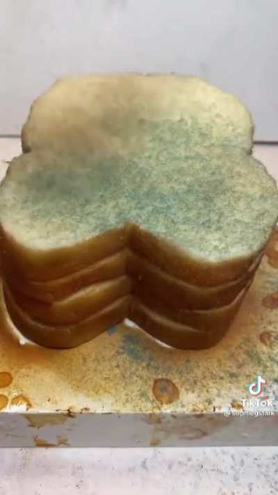 The mold you didn’t know you needed...