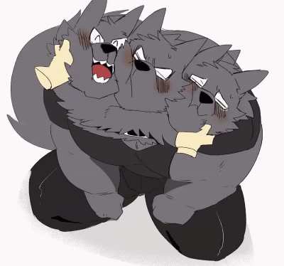 Pet_irl