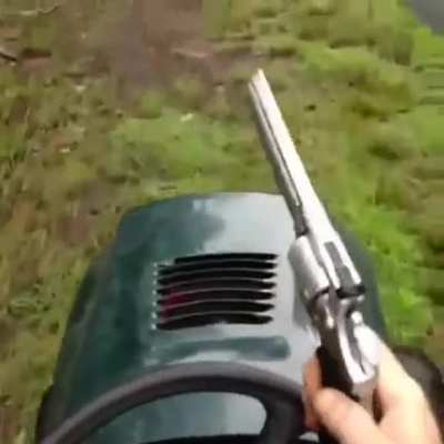 The 