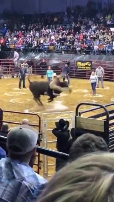 Signalling a bull to 
