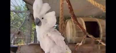 Репор<wbr>таж