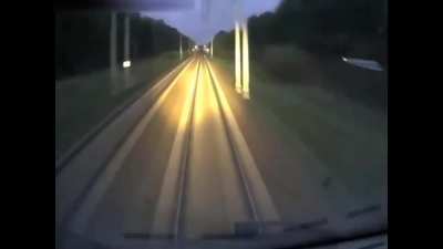 Moose gets obliterated while crossing a railroad