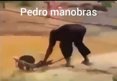 Pedro 😡