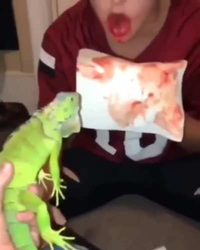 Played with a reptile, won a stupid prize