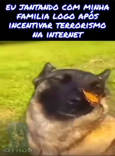 Boa parte da galera desse Sub