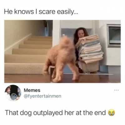 WoLf PoUnCiNg On UnSuSpECtInG pReY