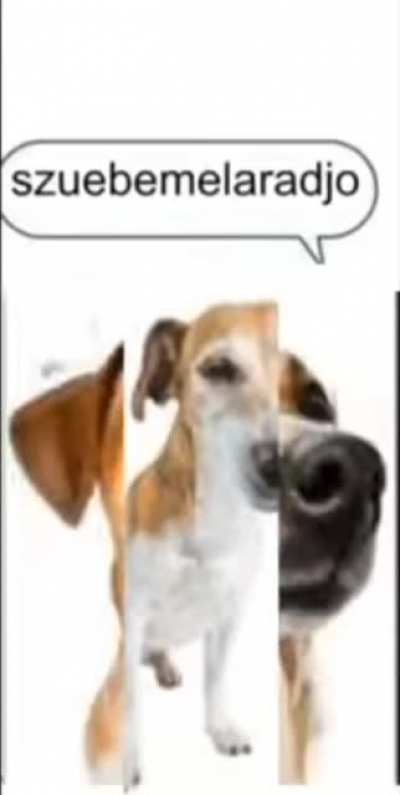 S̷̖̼͎̙̞̆̒̍̋͒̚ͅu̸̧̫͕̪̓̌͐b̶̰̭̓̅͆͠ę̵̤̺̱͊̄̂͂͛m̸̡̼͉̙͆͗̄̀͌͆͂e̴͚̓̓̈́̍͒͝l̵͍̞̖̲̫̈́͌̀̃̎ͅͅḁ̶̬̿̍̆̅̈̕͝r̸͚̺͖̪͇͔͙͙͉̿̓́̎̒̐̂̾ā̶̧̗̫͓̩͝d̸͎̮͖̟̹͉̑͂̽͛̚̕j̷̢̮̹̣̮̲͉̿͊̐̚o̵̳̠͛̓̄̐͒͘͝