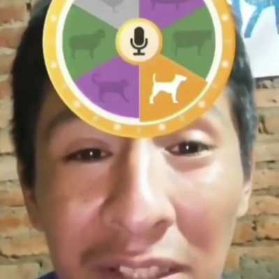 Guau