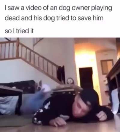 Life left the chat