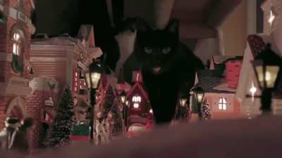 Catzilla!