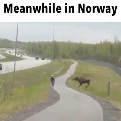 I think i would shit myself