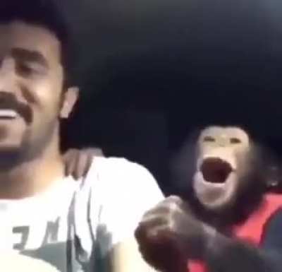 cuando el admin tenga su mono