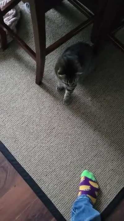This MF right here (OC)