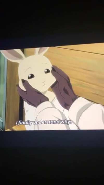 Furry anime’s are weird