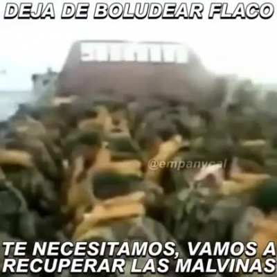 Xd