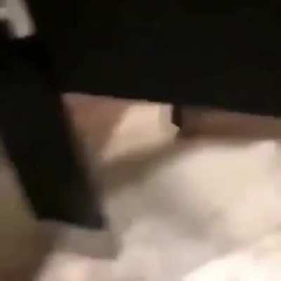 Watch it, I'm tryna take a s*** in here!