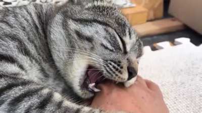 When you wanna be an asshole but you get tired