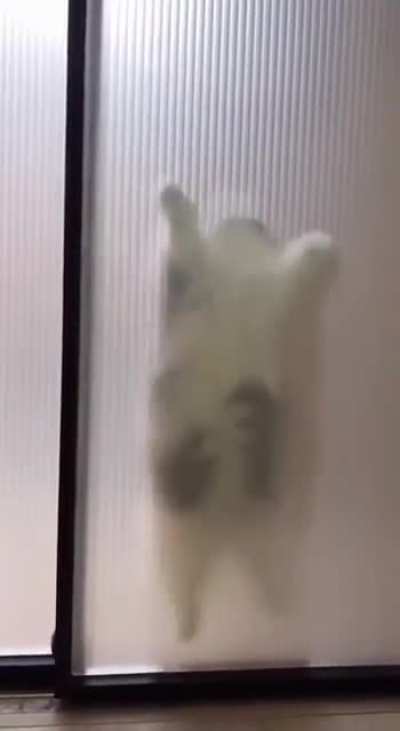 Aww