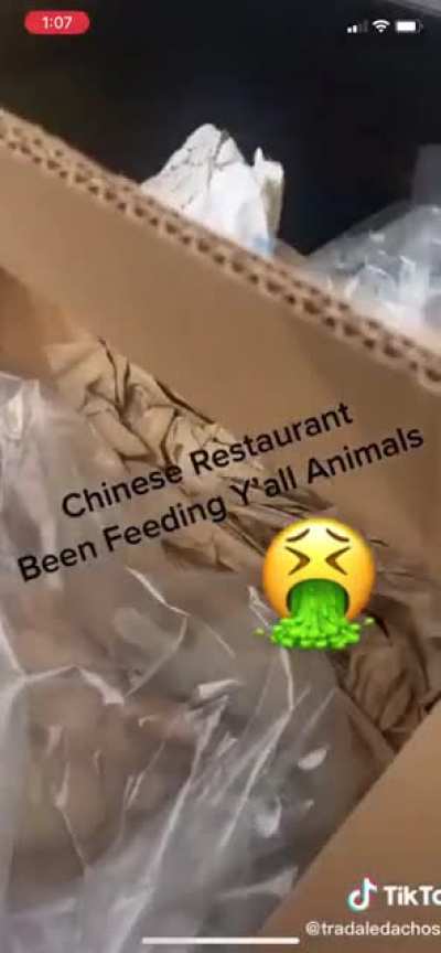 Guy Finds Vacuum Sealed Cats in dumpster behind restaurant