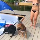 That's not how legs are meant to work.