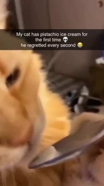 I don’t think he liked it…