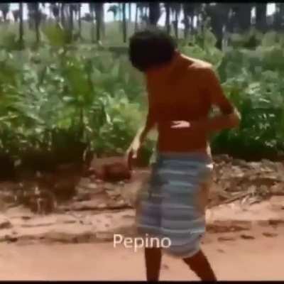 Pepino 🥒