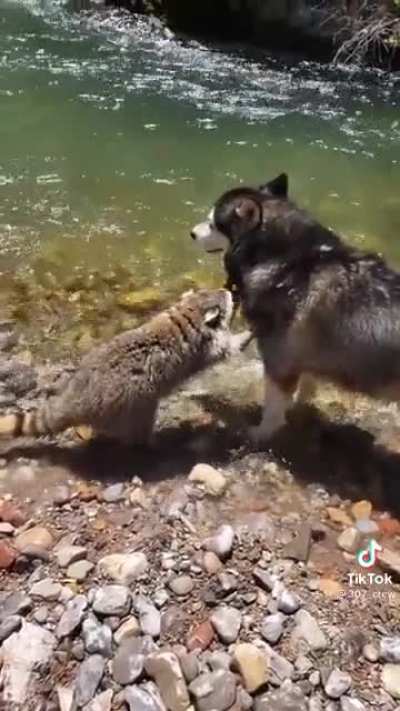“I made a new friend”