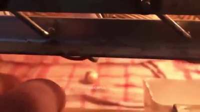 The man found a parrot egg and decided to try to raise a chick.
