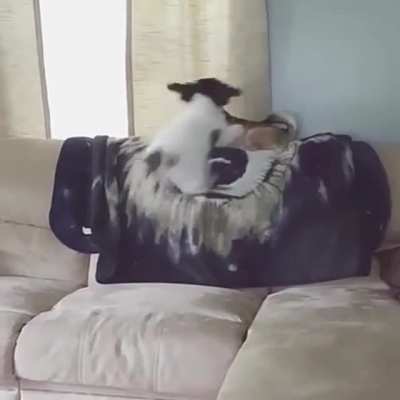 He was just minding his business when..