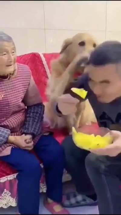Granny had a good laugh