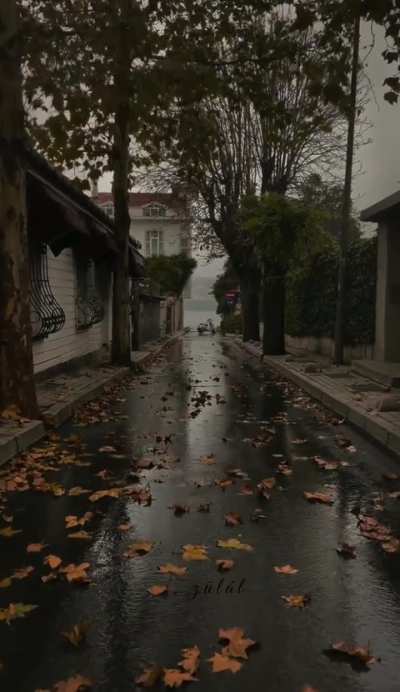 Is it only me or does this gentle rain feels like a soft hug?