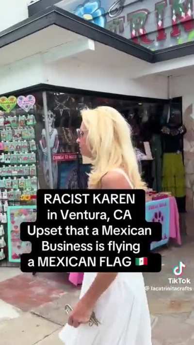 Mexican Flag  Karen Freakout