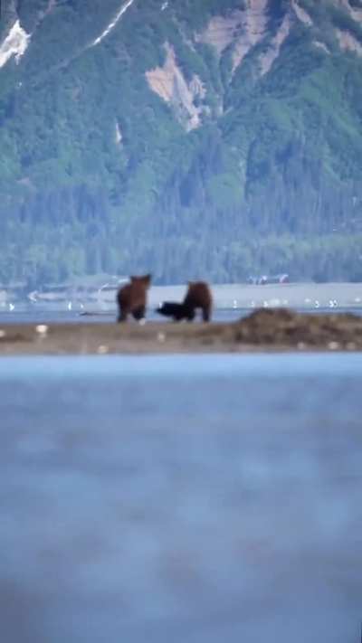 🔥 Cutest video you'll see today.