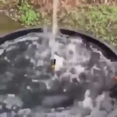 A state of truce with r/hydrohomies