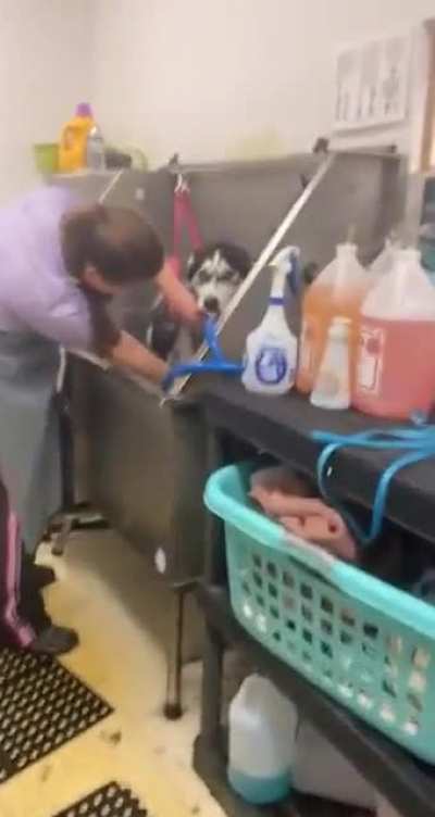 Just a normal day at the hospital