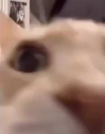 Surface Inversion Punch be like