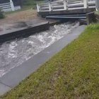 These strangers joined forces to save this doggo in Florida. Bravo, humans.