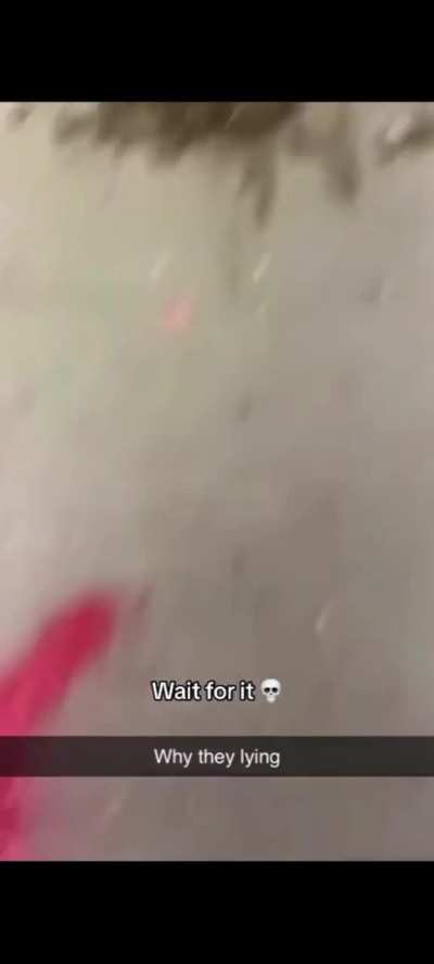 As a bird/drone owner, this subreddit is interesting.