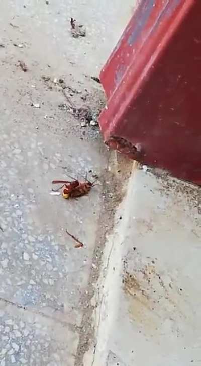 Double kill
