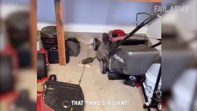 It’s dead