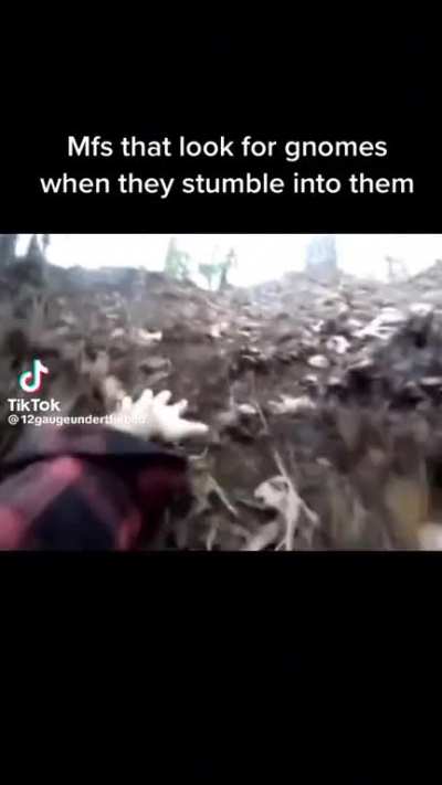 Gnome