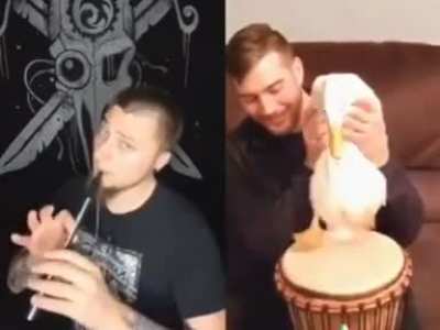 Rätsätsää ja ribidabi dilla Beritstan dillan dillan doo,