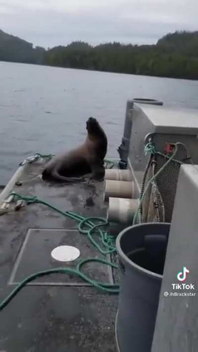 Drive the damn boat, lady