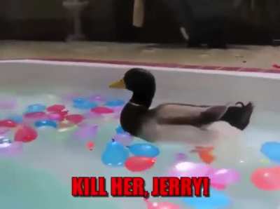 Jerry the destroyer