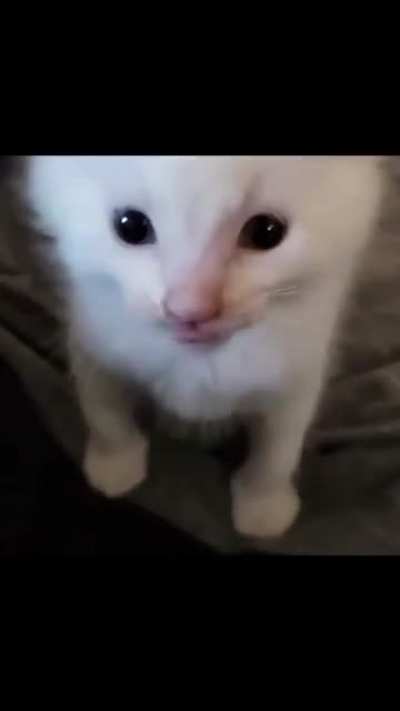 angrii war cry