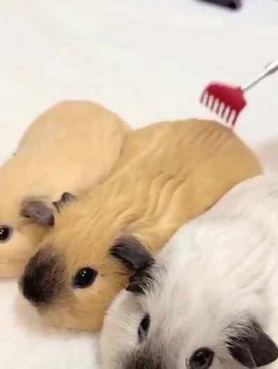 Планы на выходные
