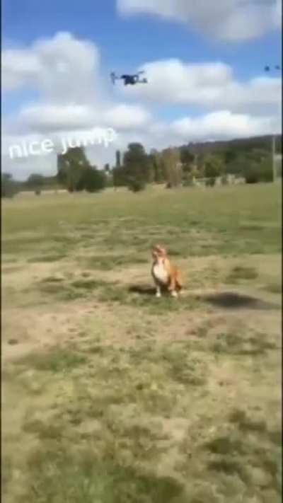 Nice jump